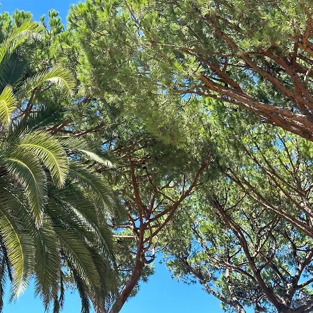 Grandpa's Nook - Torralta- Vista Mar