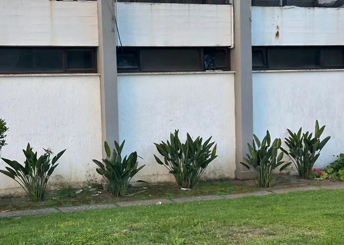 Grandpa's Nook - Torralta- Vista Mar 公寓